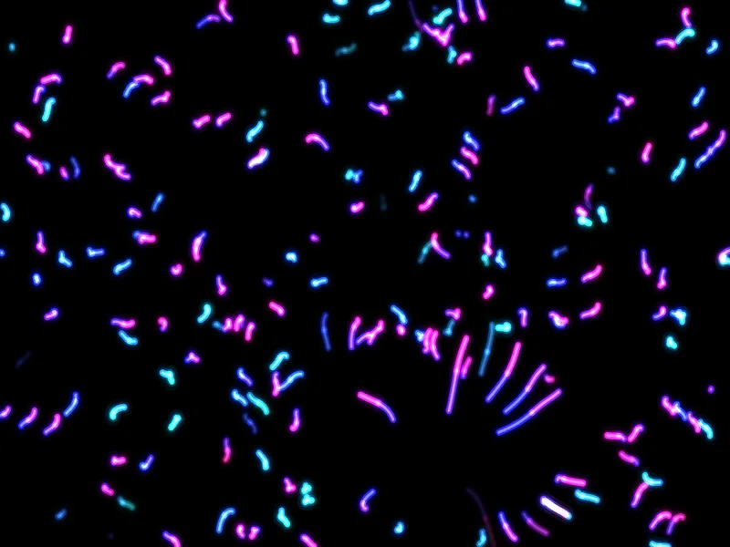 Hundreds of glowing cyan, blue and magenta wisps on black, a burst of them scattering